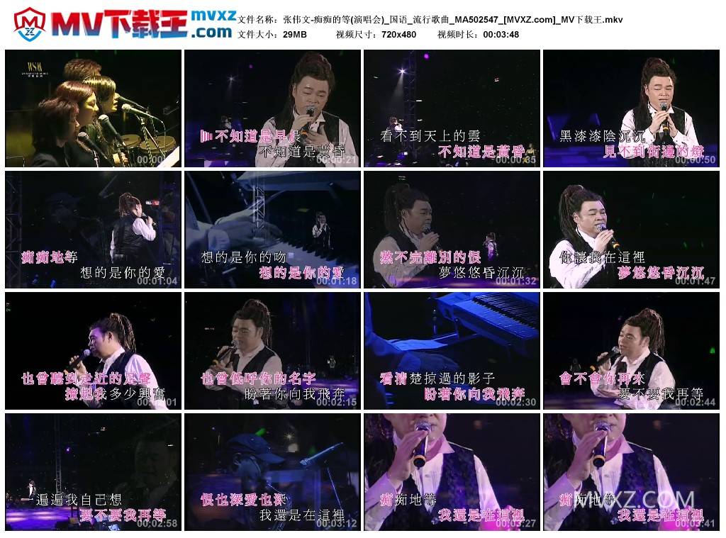 张伟文-痴痴的等(演唱会)_国语_流行歌曲_MA502547